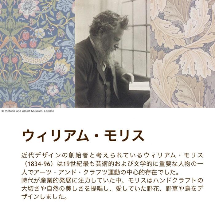 ロマンス小杉 日本製 V&A 掛け布団カバー いちご泥棒 ダブルロング 190