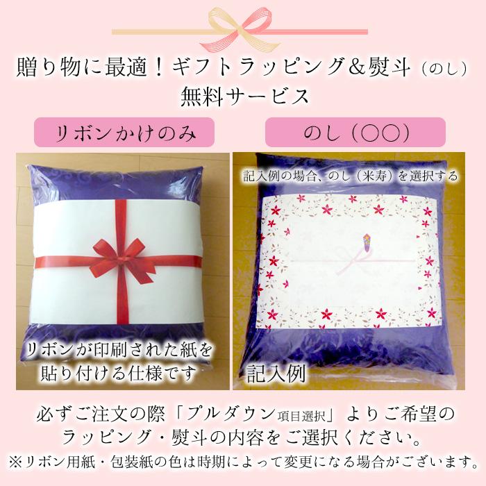 日本製 正絹座布団 赤 祝寿座布団 長寿御祝い 唐草座布団 65 日本製 正絹座布団 赤 祝寿座布団 長寿御祝い 唐草座布団 65
