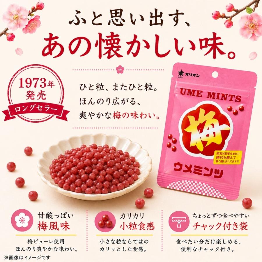 オリオン（ORION） ウメミンツ パウチ 6袋 梅ミンツ 駄菓子 お試し