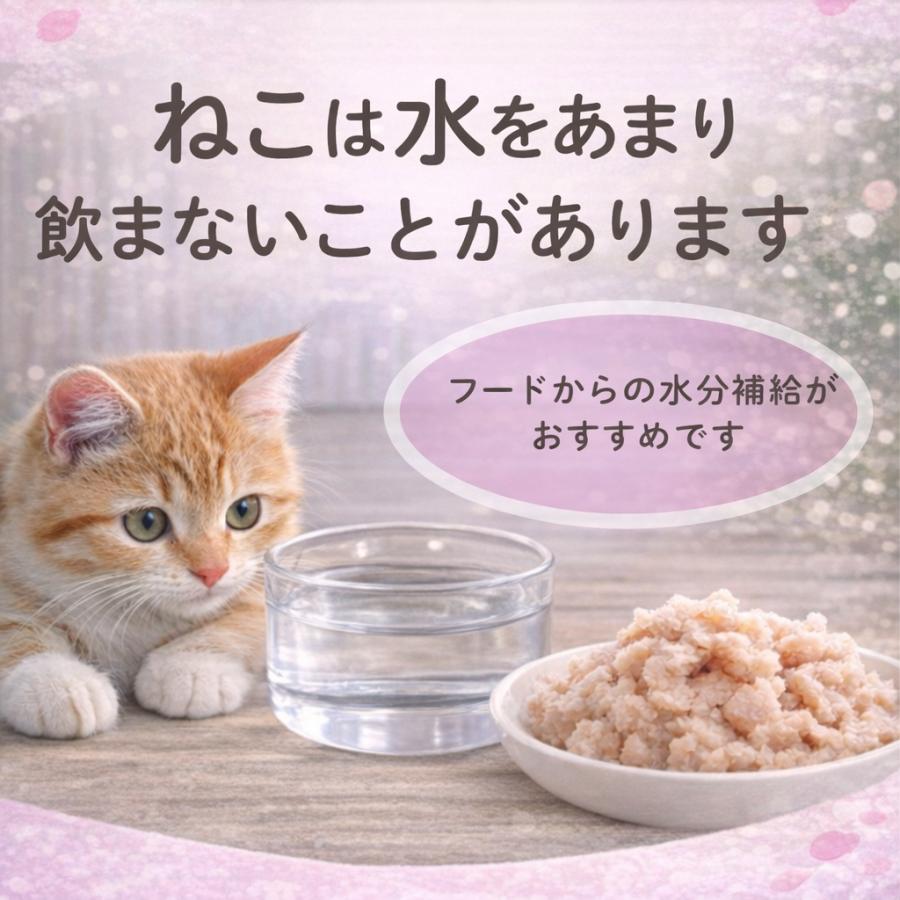 たまの伝説 たべて 水分補給 まぐろ かつお ささみ パウチ 30g 3種類