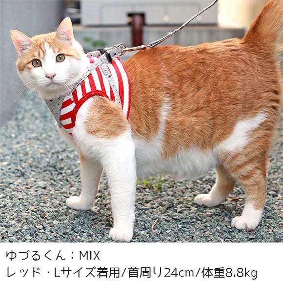 Icat 猫用コンフォートハーネス リード付き スターバンダナボーダー 1 D009 猫の手さき 通販 Yahoo ショッピング