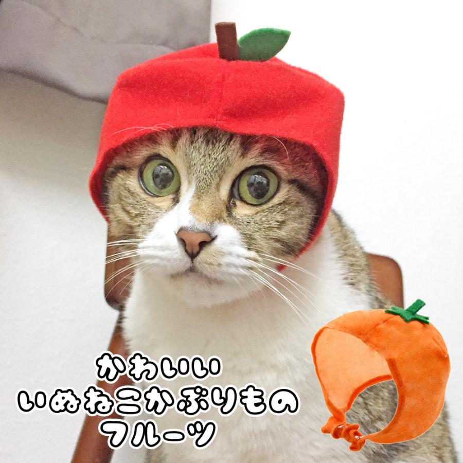 猫ちゃん専用かぶりもの フルーツ みかん りんご 1 T013 猫雑貨専門店 猫の手さき 通販 Yahoo ショッピング