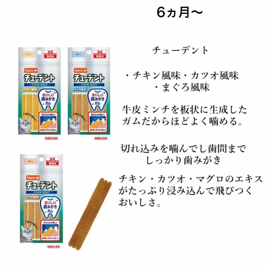 猫 お試し フード 多頭飼い キャットフード 36点 セット 詰め合わせ 子猫  おもちゃ付き 猫｜nekoto100nen｜15