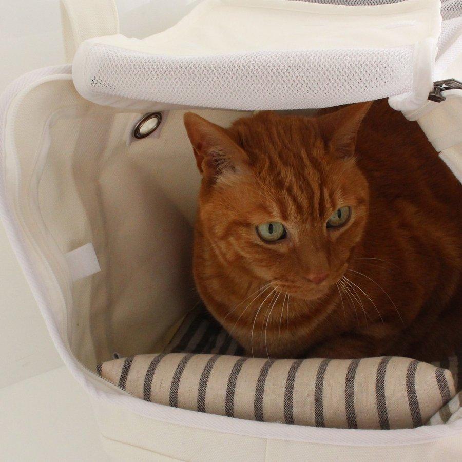 名入れ刺繍付き 猫 キャリーバッグ nekozuki ねこずきなトート