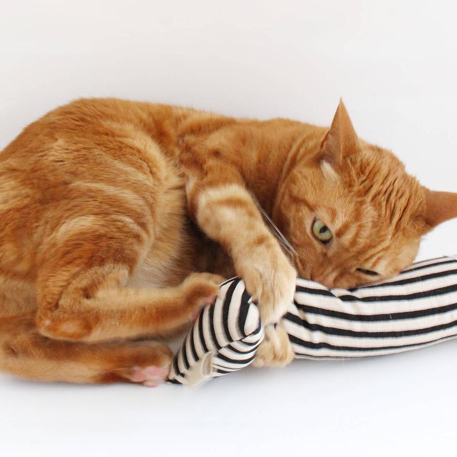 日本製 猫 おもちゃ ねこずき けりけり アソート デザインお任せ Nekozuki ねこずき 通販 Yahoo ショッピング