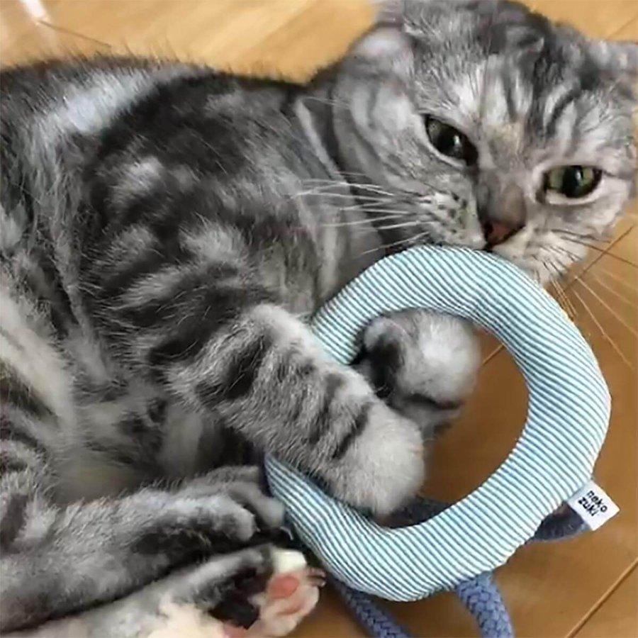 猫じゃらし 猫 おもちゃ 紐 nekozuki くらげ じゃらし またたび不使用