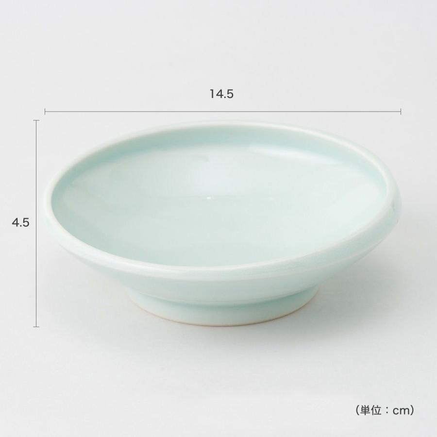 芸能人愛用 食器 猫 まんまボウル フード用 M 磁器 日本製 介護 高齢 Roadmap Socialenterprises Net