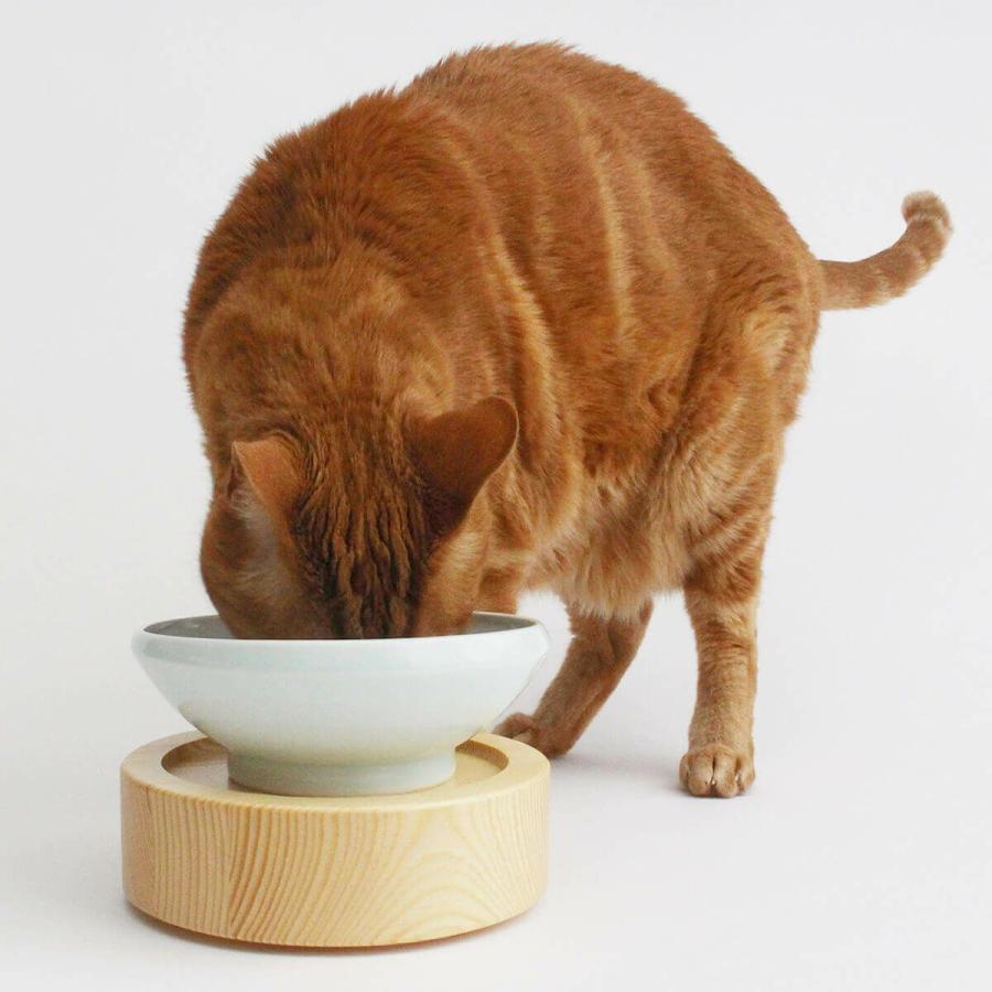 猫 食器 まんまボウル 水飲み用 水が飲みやすい特殊形状 グッド
