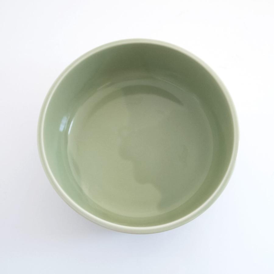 食器 猫 ヘルスウォーター ボウル L 水飲み用 獣医推薦 ネコが水を飲ん