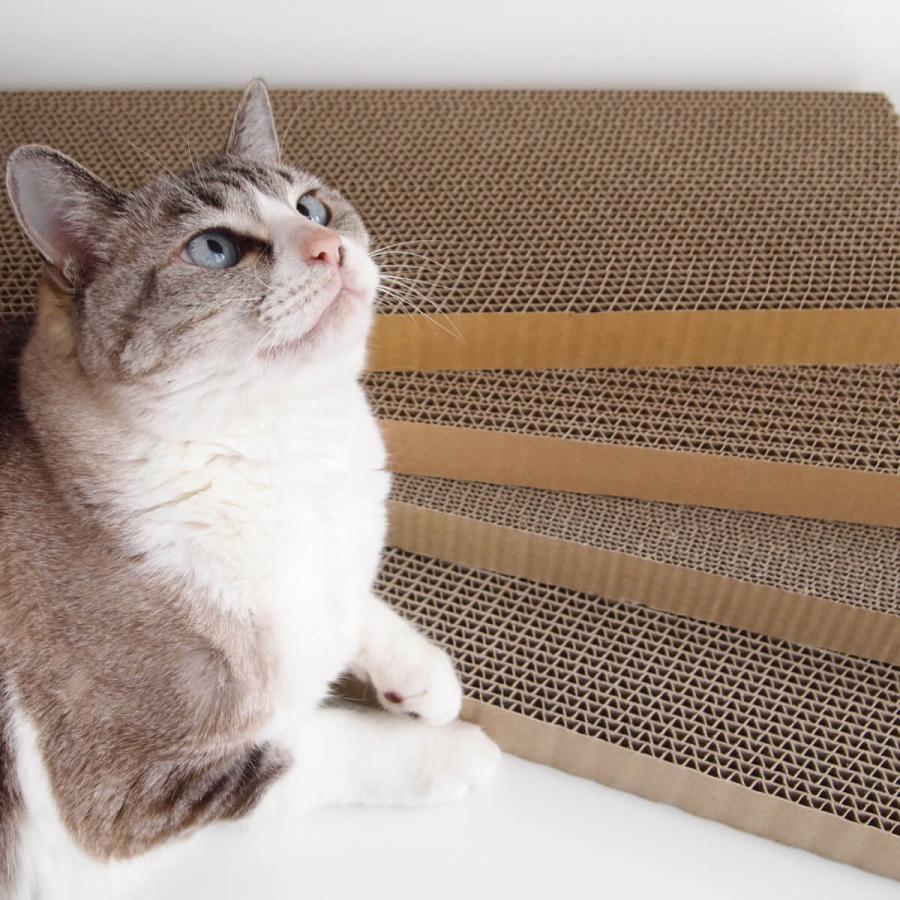 猫 爪とぎ 布製 ベッド セット 研ぎブロック がりがりカバー