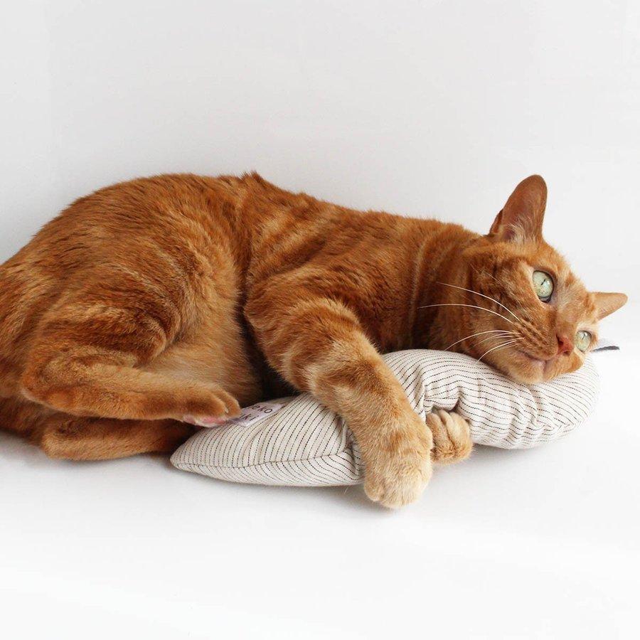 猫おもちゃ 日本製 5点セット みかづきけりけり付 福袋 国産 音が鳴る