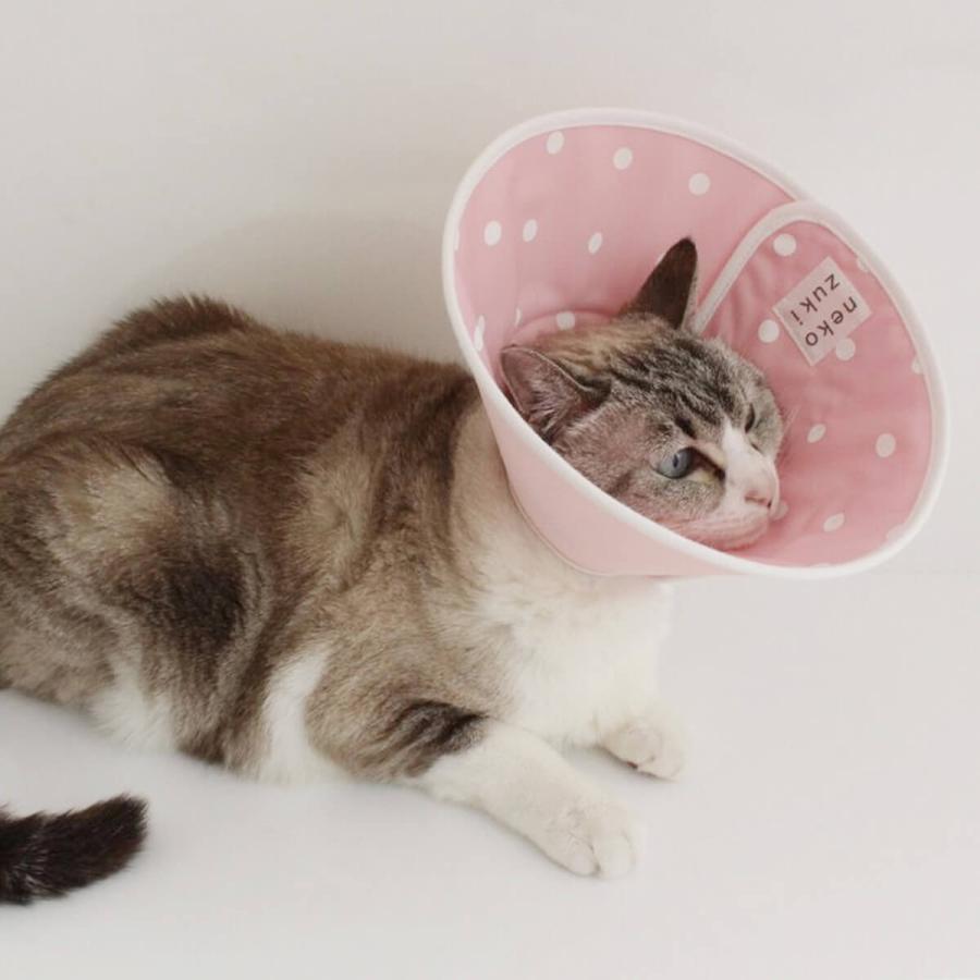 エリザベスカラー 猫 ソフト 柔らかい フェザーカラー 布 全面しん Zenmendotss Nekozuki ねこずき 通販 Yahoo ショッピング