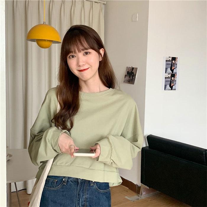 Tシャツ レディース 長袖 トップス 春秋 レディースTシャツ 丸首 プルオーバー ショート丈 無地 綿混 ゆったり カジュアル 着痩せ 上着 可愛い 体型カバー :ys10143:NEMIYA - 通販 - Yahoo!ショッピング Tシャツ レディース 長袖 トップス 春秋 レディースTシャツ 丸首 プルオーバー ショート丈 無地 綿混 ゆったり カジュアル 着痩せ 上着 可愛い 体型カバー :ys10143:NEMIYA - 通販 - Yahoo!ショッピング