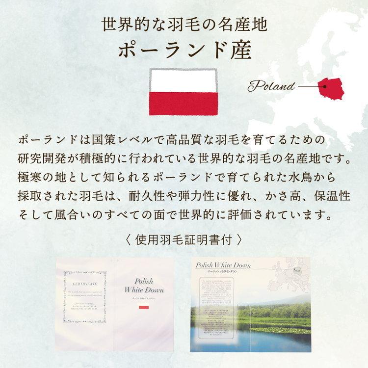 羽毛布団 シングル ゴールドラベル ホワイトダック ダック ダウン 93％ ポーランド産 日本製 綿100％ 羽毛 掛け布団 布団 軽い 暖かい 冬 冬用 無地｜nemunabi｜10