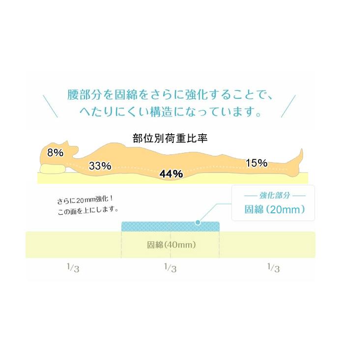 TEIJIN - 敷布団 日本製 三層敷き布団 第一人者 抗菌 防臭 防壁蝨目 胴回り一元管理 蒸れにくい 固芯入 ふとん 帝人 寝具
