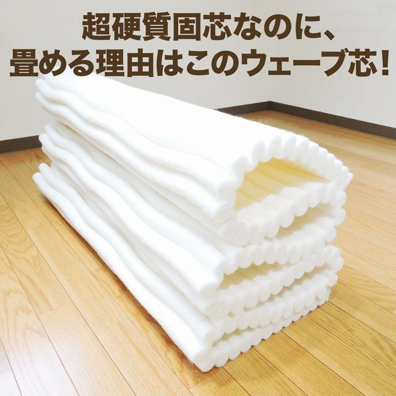 TEIJIN - 敷布団 日本製 堅牢さ縮くれる固木綿入 三層敷き布団 シングルロング 分かりやすい色合い 防壁蝨目産業 フランス共和国産 毛糸入