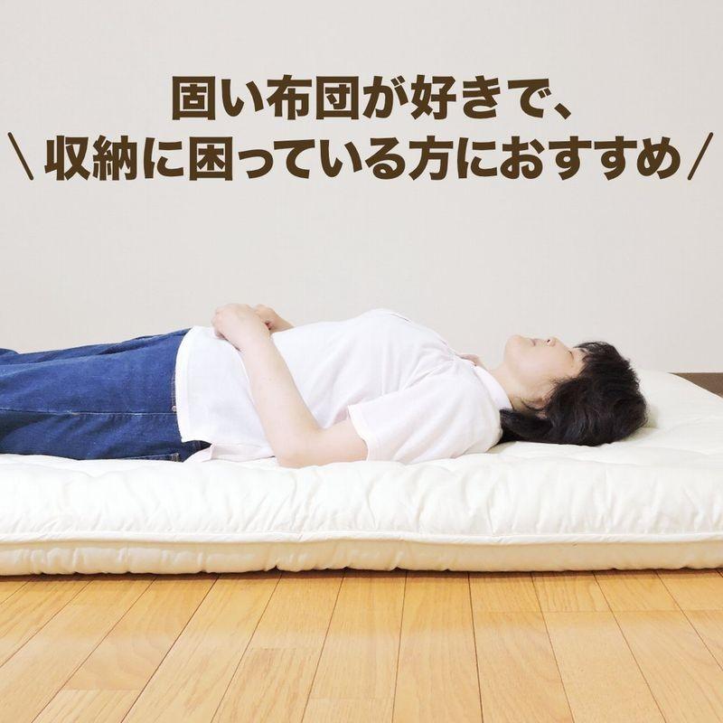 TEIJIN - 敷布団 日本製 堅牢さ縮くれる固木綿入 三層敷き布団 シングルロング 分かりやすい色合い 防壁蝨目産業 フランス共和国産 毛糸入
