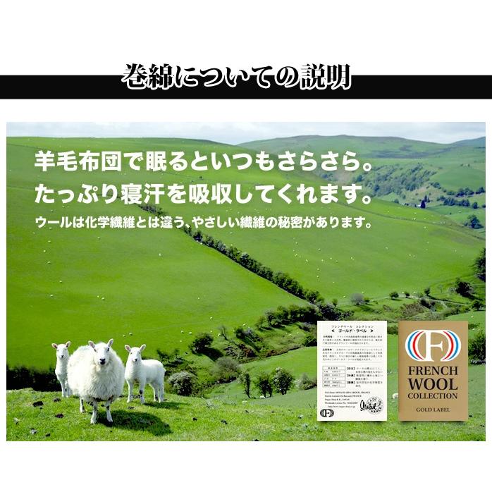 TEIJIN - 敷布団 日本製 毛糸混 三層敷き布団 第一人者 かさ高 防壁蝨目 固芯入 毛糸 ロング 広々 ふとん 寝具 ようもう