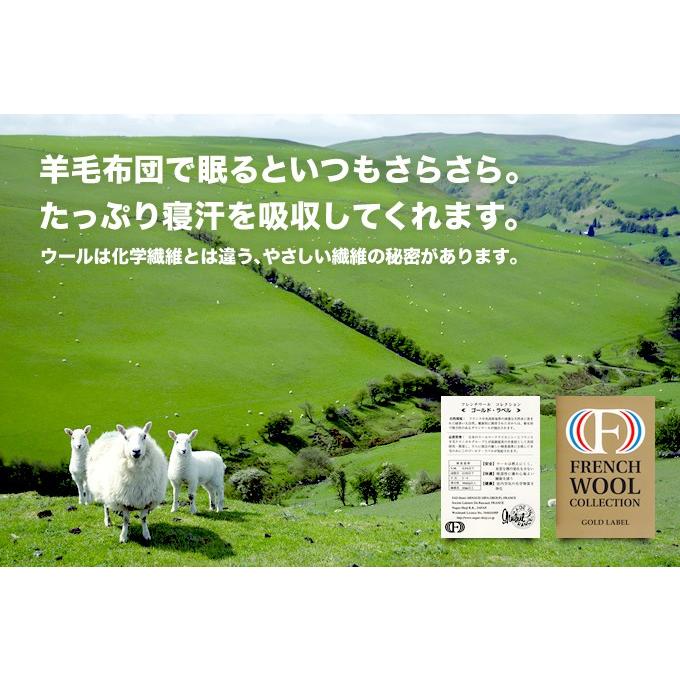 羊毛混 掛け布団 ジュニア シンプルカラー 綿100% 防ダニ 抗菌 防臭 帝人 ウール混 ポリエステル綿 ふとん 掛布団 子供用 日本製_5