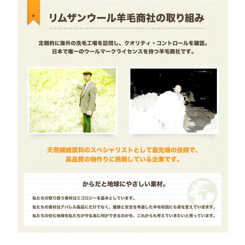 羊毛混 掛け布団 ジュニア シンプルカラー 綿100% 防ダニ 抗菌 防臭 帝人 ウール混 ポリエステル綿 ふとん 掛布団 子供用 日本製_11