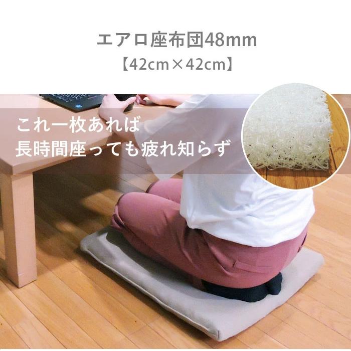 クッション 42×42cm 高反発 エアロ 日本製 水洗い可能 通気性 ダブル