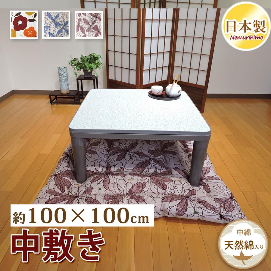 TEIJIN（テイジン） こたつ布団 中敷き 正方形 大判 100×100cm