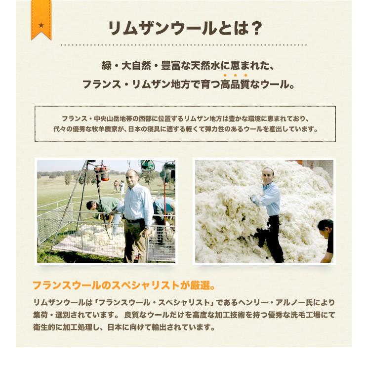 TEIJIN - 敷布団 日本製 毛糸混 三層敷き布団 エアロ 虚蝉シングル 無地 抗菌 防臭 防壁蝨目 高手向かい 体圧分散 寝具
