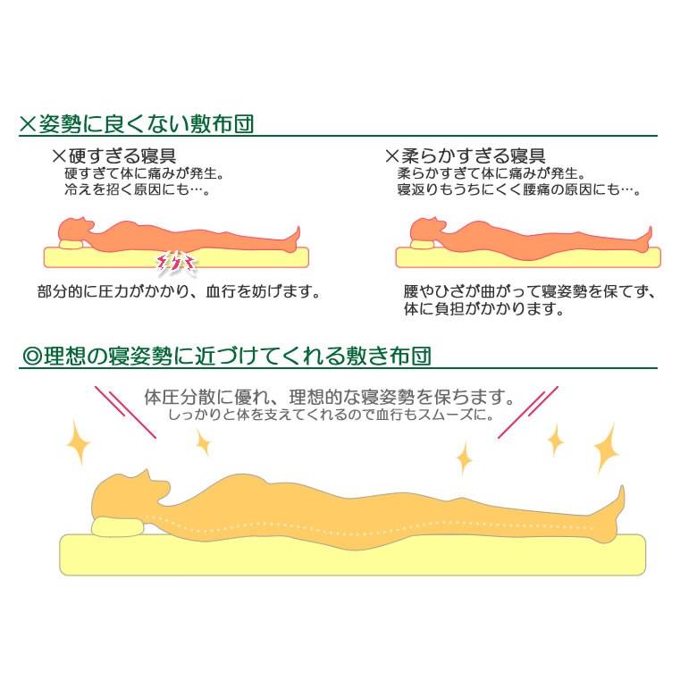 TEIJIN - 敷布団 日本製 毛糸混 三層敷き布団 エアロ 虚蝉シングル 無地 抗菌 防臭 防壁蝨目 高手向かい 体圧分散 寝具