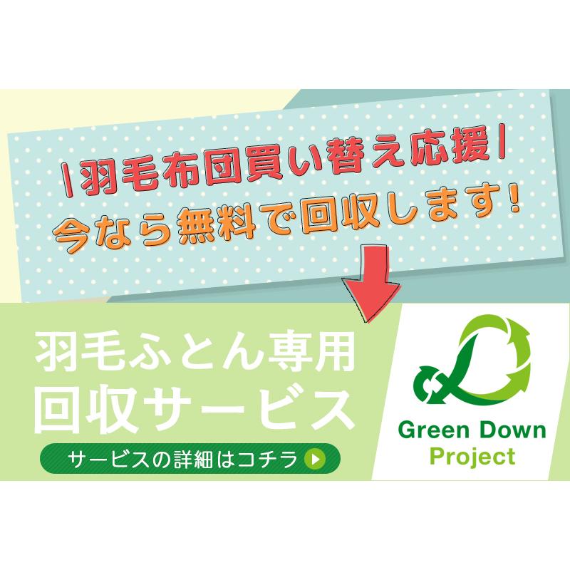 西川 羽毛布団 シングル ゴア(R) マザーグース ロシア産 西川 羽毛布団 シングル ゴア(R) マザーグース ロシア産