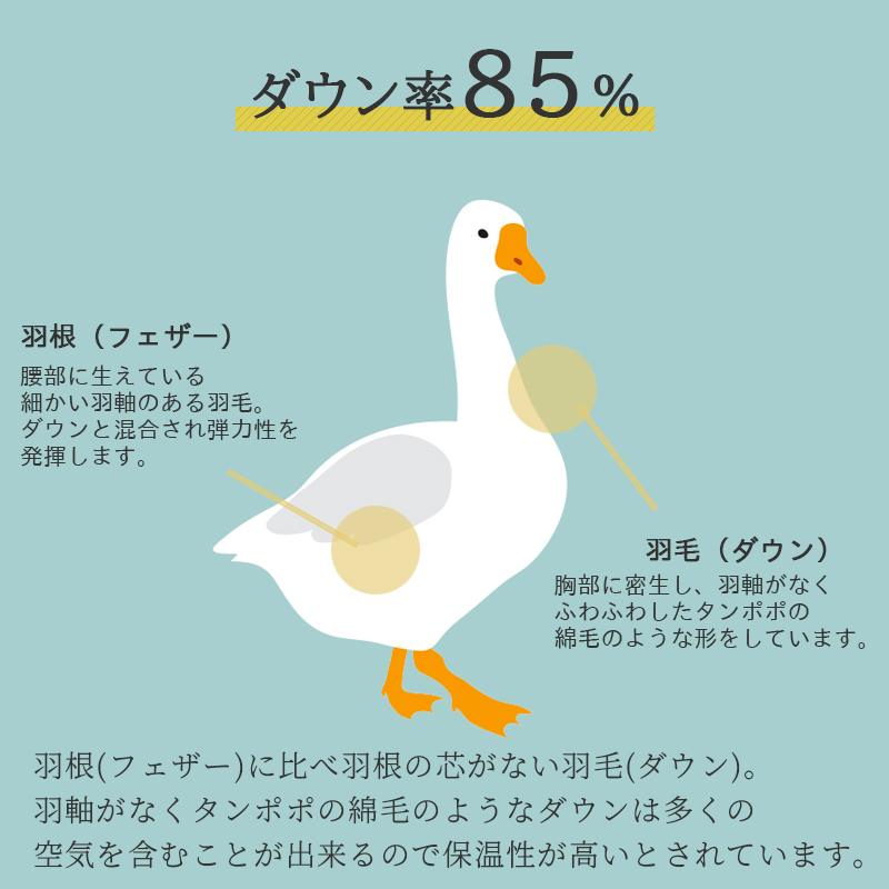西川 羽毛布団 シングル ダウン 85% 羽毛 本掛け 日本製 西川 羽毛布団 シングル ダウン 85% 羽毛 本掛け 日本製