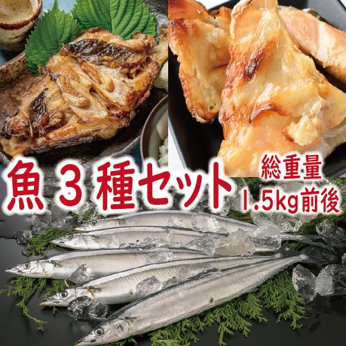 サケ　鮭　さんま　サンマ　秋さけカマ・銀だらカマ・さんまセット　総重量1.5ｋｇ前後　ギフト　2025　御歳暮 | 