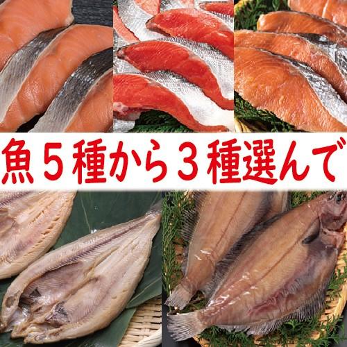 送料無料 魚5種類から3種類選べる 紅鮭 時鮭 発売モデル 柳がれい 真ほっけ 秋鮭