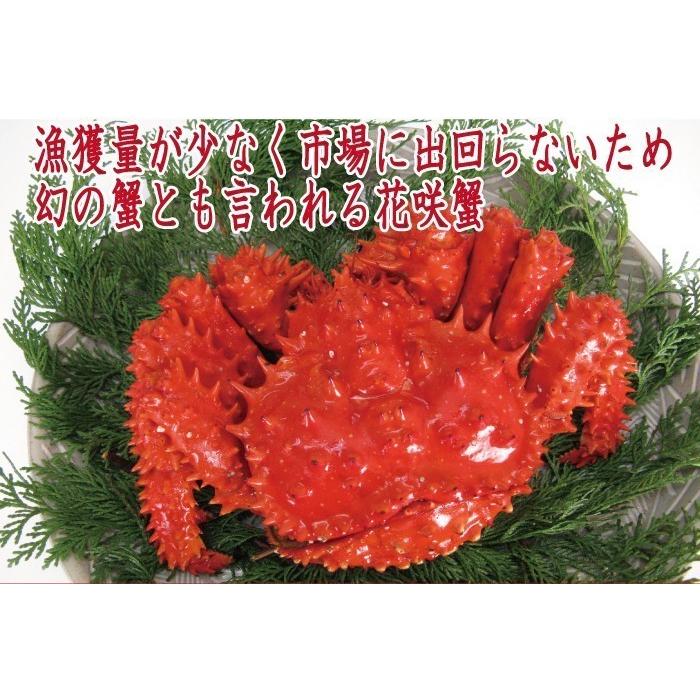 母の日　かに　カニ　蟹　花咲ガニ　北海道産　花咲かに(オスメス無選別) 500g前後×2尾　送料無料｜nemurokanisen｜03