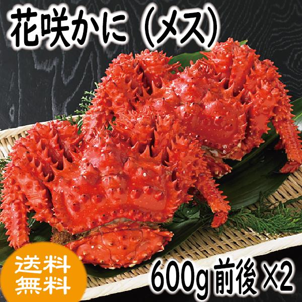 かに　カニ　蟹　花咲ガニ　花咲かに(メス子無) 600ｇ前後×2尾　爆買　ギフト　2025　御歳暮 | 