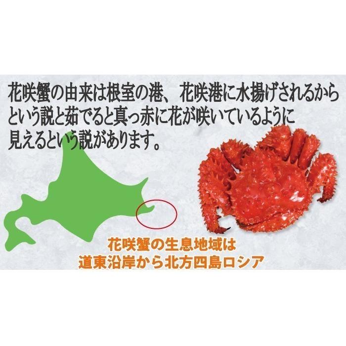 かに　カニ　蟹　花咲ガニ　花咲かに(メス子無) 600ｇ前後×2尾　北海道産　送料無料｜nemurokanisen｜02