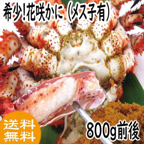 花咲ガニ 花咲かに メス子有 800ｇ前後 北海道 根室産 送料無料 Ysaawkhosmko 800g 根室かに鮮 通販 Yahoo ショッピング