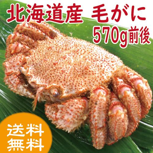 かに カニ 蟹 毛ガニ 570ｇ前後 北海道産 毛蟹 毛かに 送料無料 Ysk 570 根室かに鮮 通販 Yahoo ショッピング