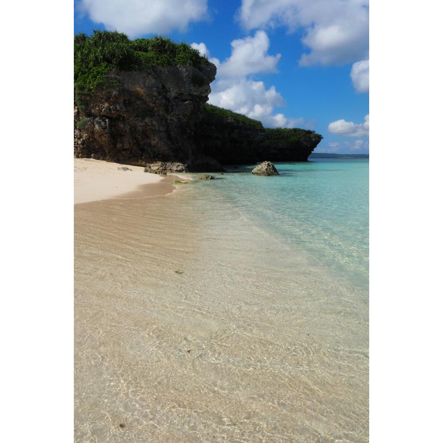 あんしん海洋散骨（沖縄、北谷、名護） | 