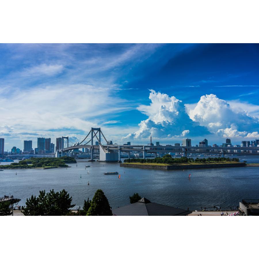 あんしん海洋散骨（東京湾、ディズニーランド） | 