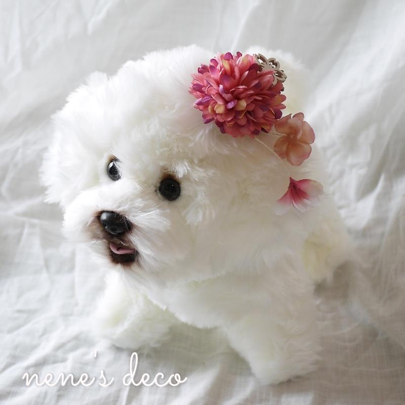 犬 ヘアピン」の人気商品一覧 | 安い商品を通販サイトから探す - 価格.com