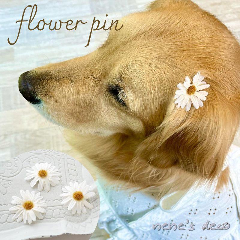 犬 リボン 花 ドライデイジーフラワーコームピン dog cat アクセサリー パッチン留め ヘアピン 小型犬 超小型犬 hair トリミング