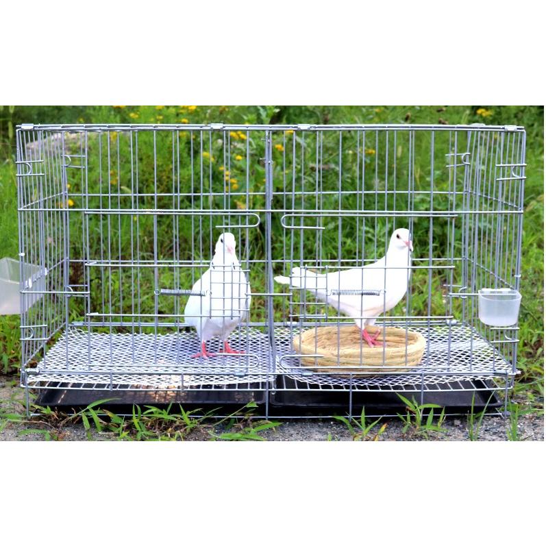 鳩 大型 バードケージ 仕切り対応 80cm幅 鳥かご 2ルーム ゲージ