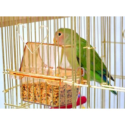 送料無料】角屋根/大型鳥かご ゴールド【バードゲージ 鳥小屋 鳥 送料無料】角屋根/大型鳥かご ゴールド【バードゲージ 鳥小屋 鳥