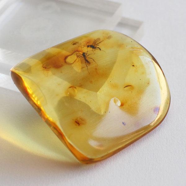 数珠 パワーストーン はな花 虫入り天然琥珀 原石 約10グラム : 数珠