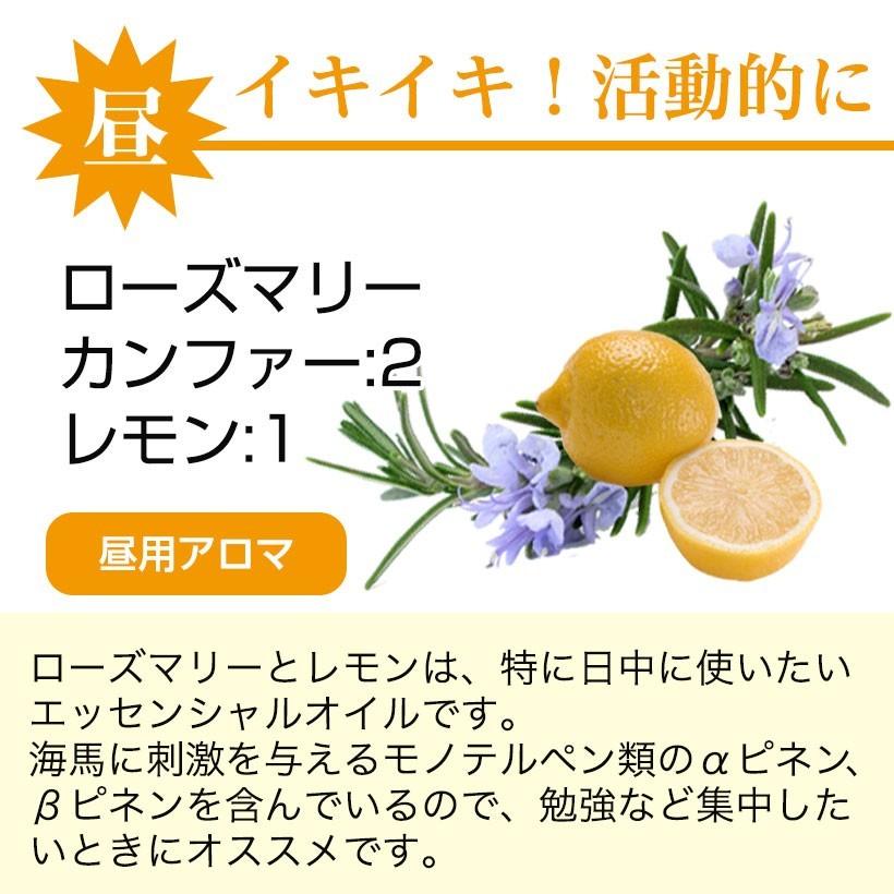 脳を活性化させるアロマセット 楽天市場】脳活 ブレンド エッセンシャルオイル セット 昼用 夜