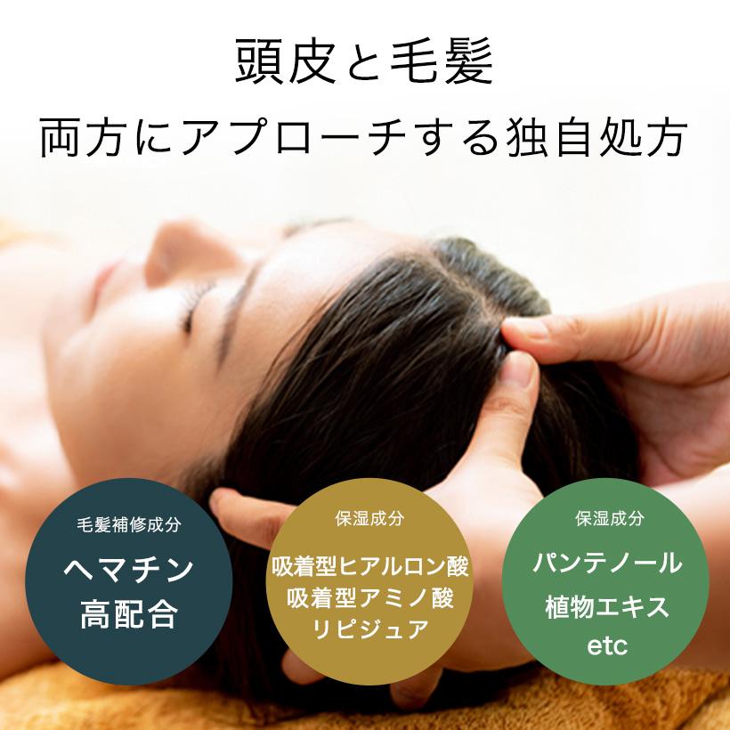 nenrin-lab（ネンリンラボ） 【4本セット】ヘマチン 美容液 ブラック