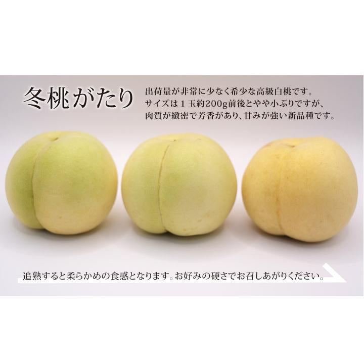 岡山 冬桃がたり 冬ももがたり 1.5kg箱入 7玉前後 1玉200g前後