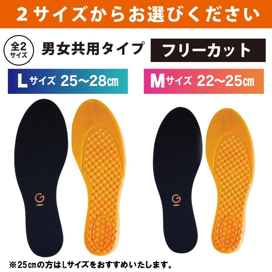 GゼロインソールDX デラックス M / L メール便 送料無料 : いきいき