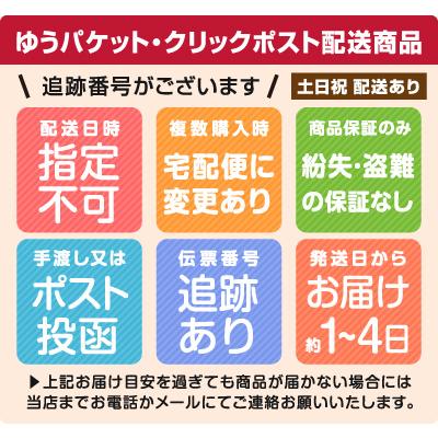 TEIJIN（テイジン） ガラスダスター 2枚セット Lサイズ 3色より 帝人 