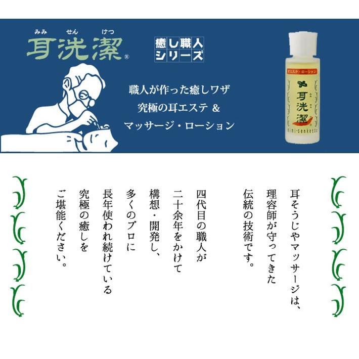 選べる2個セット 耳せんけつ 耳洗潔 / COOL耳洗潔 20ml 約100